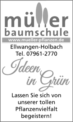 Ideen in Grün