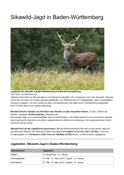 Sikawild-Jagd in Baden-Württemberg