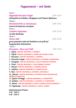 Tagesmenü – mit Salat - Medusa-Muri