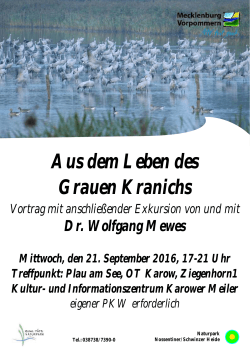 Plakat Mewes 2016.cdr - Stiftung Umwelt