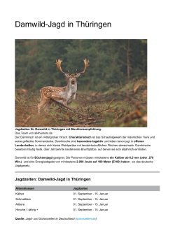 Damwild-Jagd in Thüringen