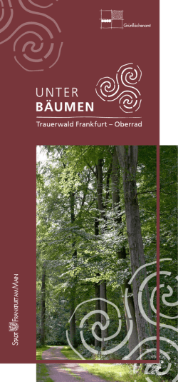 Unter Bäumen - Friedhof