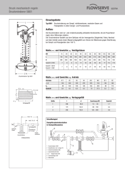 Druckminderer 5801