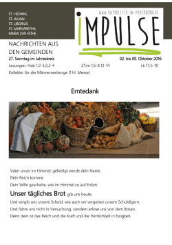 Impulse 02 . Oktober 2016 (1,1 MiB)