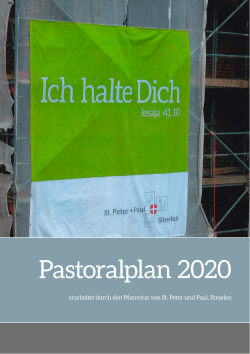 Pastoralplan - kirche