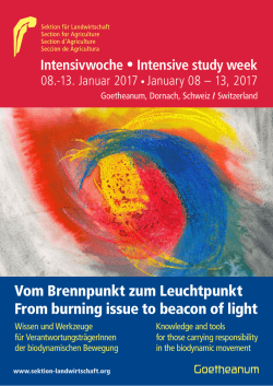 Intensivwoche 2017 WEB Buechlein