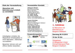 Info-Flyer