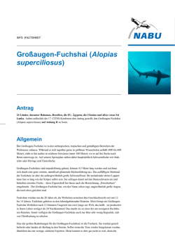 Infopapier_ Info