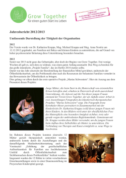 Jahresbericht 2013