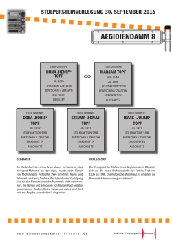 Infoblatt Familie Henry Topf.indd