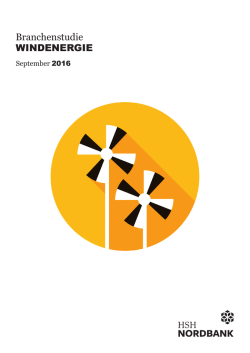 Branchenstudie Windenergie