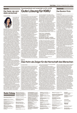 Gute L&ouml;sung f&uuml;r KMU - dr. regula st&auml;mpfli