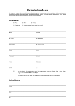 Mandantenfragebogen