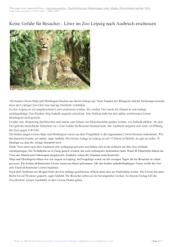 Keine Gefahr für Besucher - Löwe im Zoo Leipzig - mm