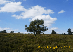 Kein Folientitel