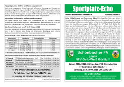 Sportplatz-Echo - Schönbacher FV