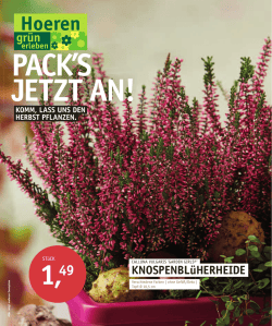 Hoeren Prospekt