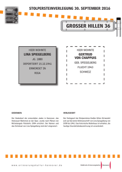 Infoblatt Lina Spiegelberg.indd