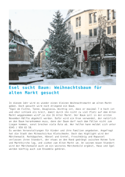 Esel sucht Baum: Weihnachtsbaum für alten Markt