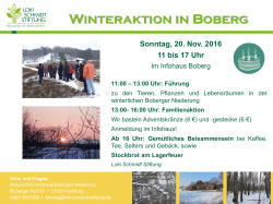 Winteraktion in Boberg - Loki Schmidt Stiftung