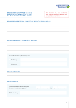 Sponsoring-Fragebogen