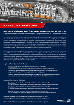 Handout Ausschreibungseinheiten Quartiere