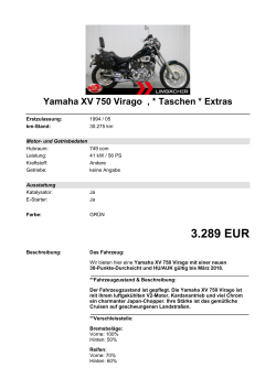 Detailansicht Yamaha XV 750 Virago €,€* Taschen