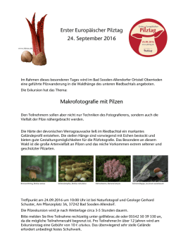 Pilz - Waldbilder von Gerhard Schuster