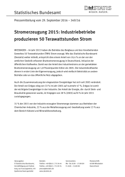 Industriebetriebe produzieren 50 Terawattstunden Strom