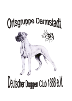 Meldeschein - DDC 1888 eV OG Darmstadt