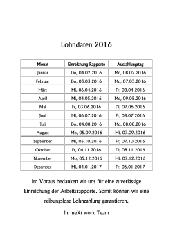 Lohndaten 2016 - Next-Work-AG