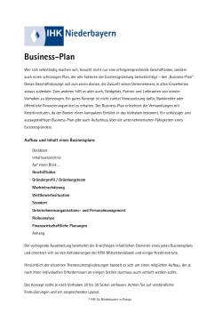 Muster für den Businessplan