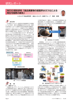 NEDO受託研究「食品廃棄物の超臨界水ガス化による再生