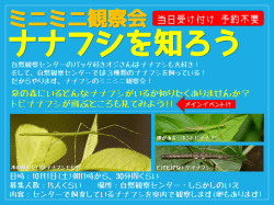 ミニミニ観察会 このバッタ、なに？