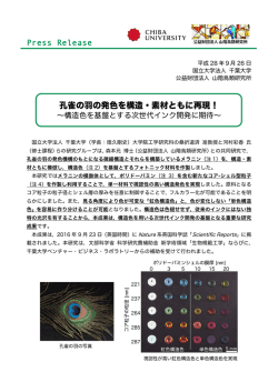 孔雀の羽の発色を構造・素材ともに再現！