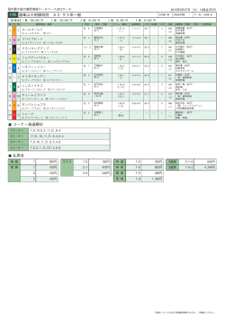 11R 蓮華山大相撲特別 A3 サラ系一般 コーナー通過順位