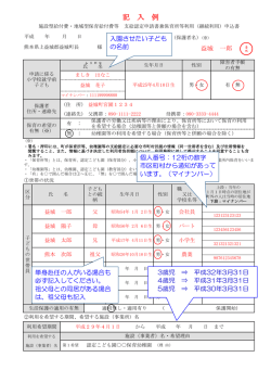 記 入 例