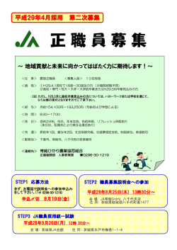 H29年度正職員募集