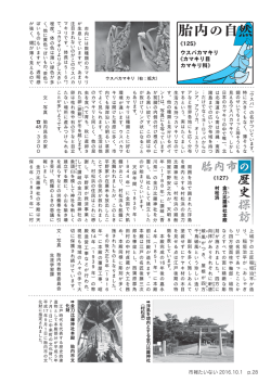 28ージ（PDF：717KB）