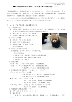円山動物園のレッサーパンダの赤ちゃん一般公開について