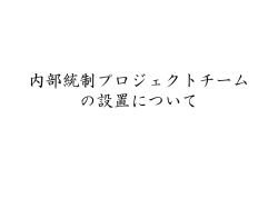 内部統制プロジェクトチーム資料(PDF:402KB)