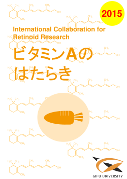 International Collaboration for Retinoid Research