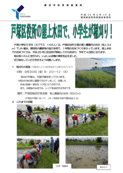 記者発表資料（PDF 458KB）