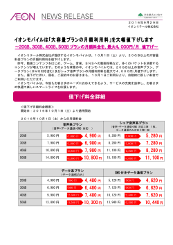 大容量プランの月額利用料