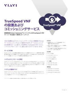 TrueSpeed VNF の設置および コミッショニングサービス