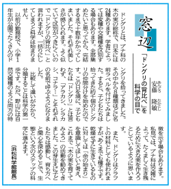 『ドングリの背比べ』を科学の目で