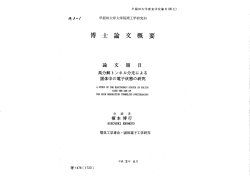 Page 1 早稲田大学審査学位論文 (博士) 内 9ー/ 早稲田大学大学院理工