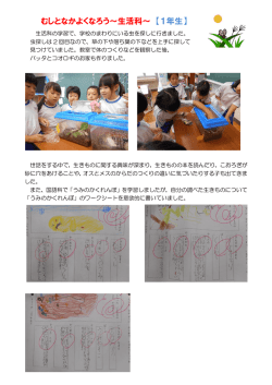むしとなかよくなろう～生活科～ 【1年生】