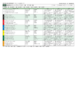 南部杯カウントダウン7B2一組 サラ系一般
