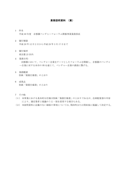 業務説明資料 （案）